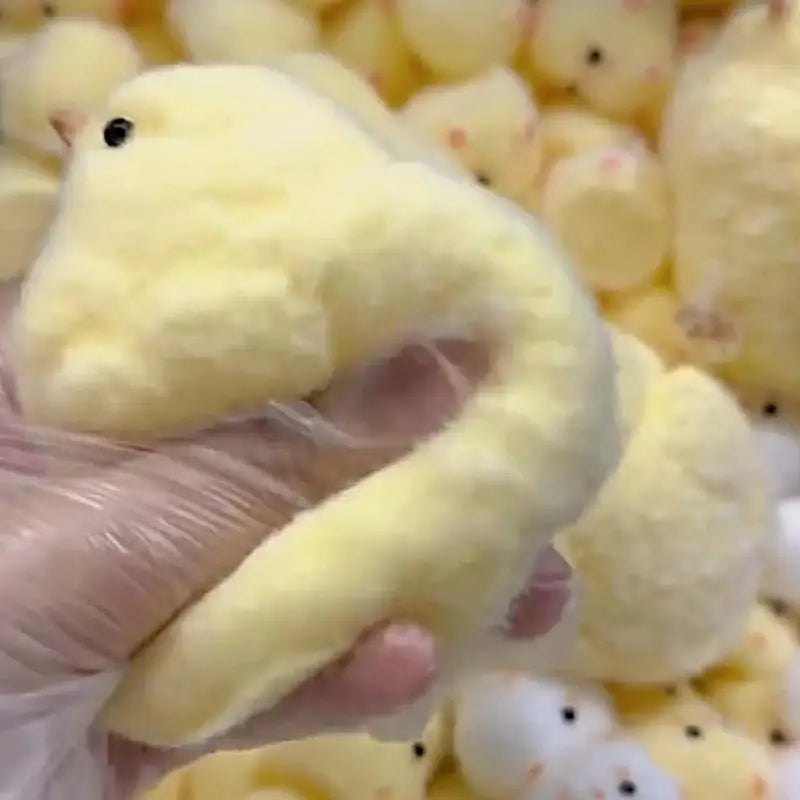 Pollito Squishy